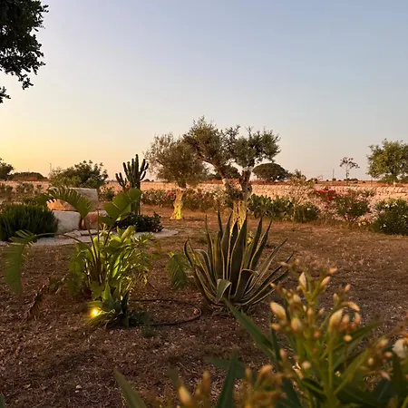 Papalei La Maison